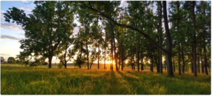 All Seasons Country Lodge Taree Eksteriør bilde