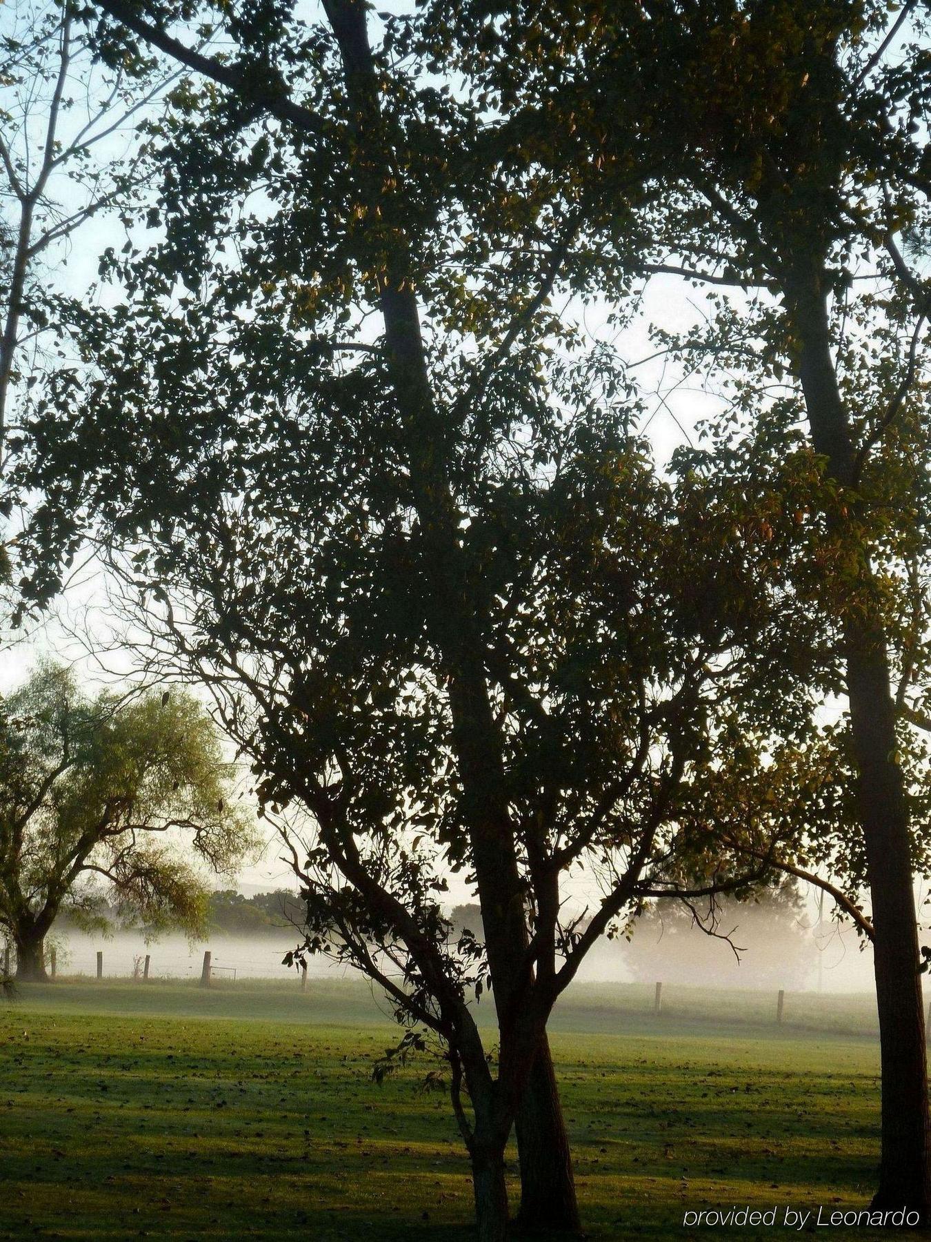 All Seasons Country Lodge Taree Eksteriør bilde